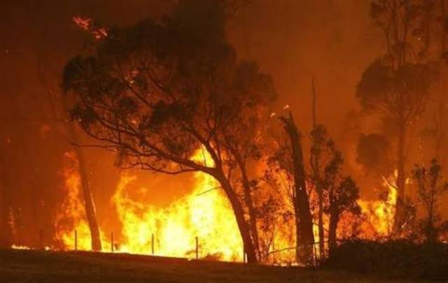Black Friday bushfires
