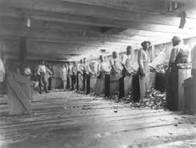 Free Black Communities