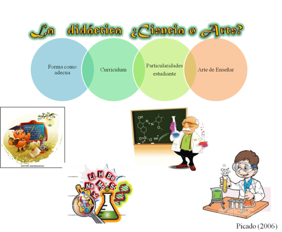 cultura, enseñanza y educación.