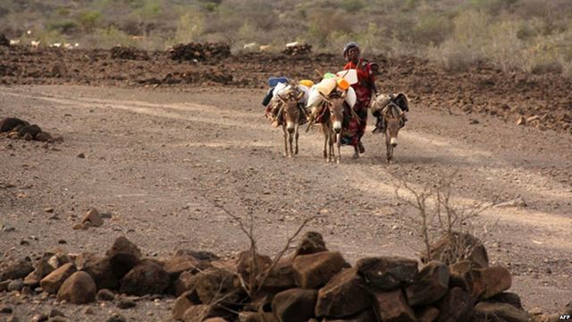 Major Drought Impacts Djibouti