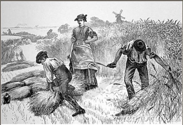 The American Industrial Revolution: "Changes In Agriculture"