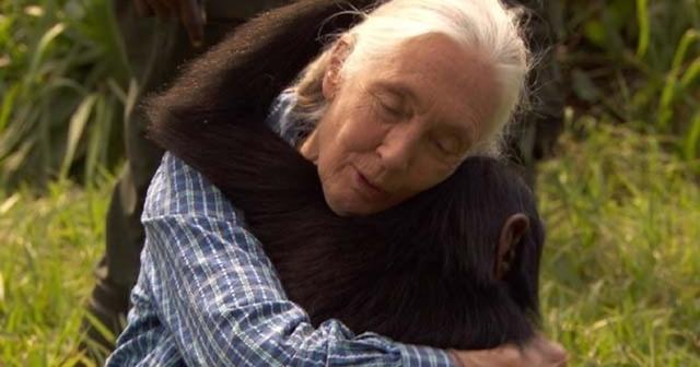 Jane Goodall born