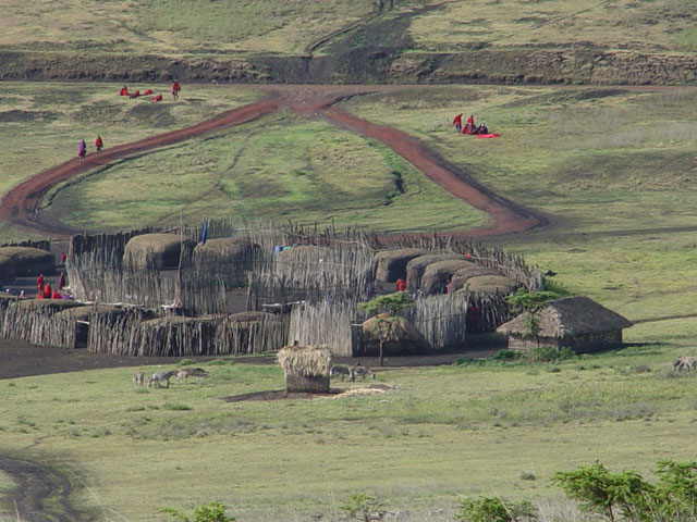 Tanzania fell deeply into debt and almost collapsed economiclly.