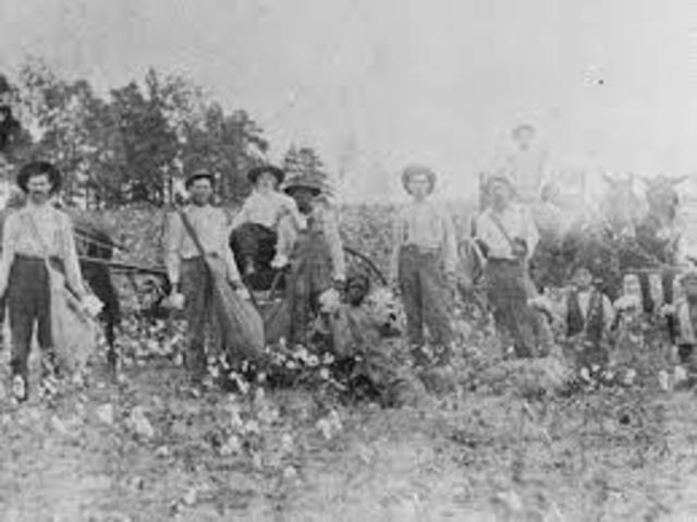 Sharecroppers