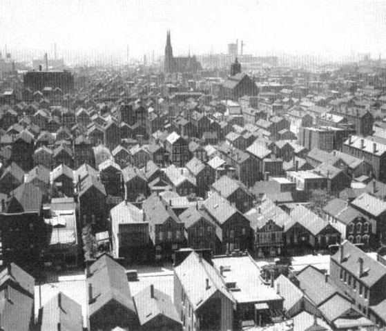 A Grocery Store Transforms