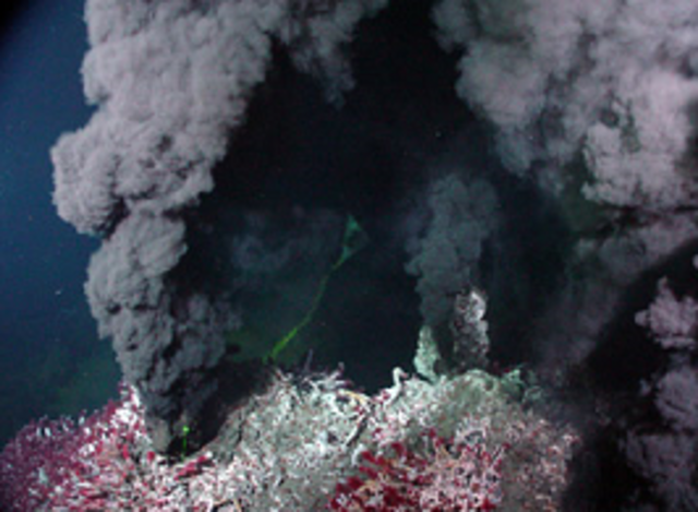 Hydrothermal vents