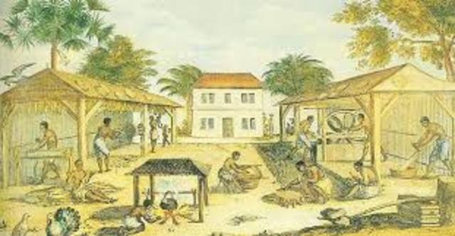 Caribbean Colonies