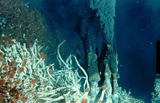 Deep sea hydrothermal vents and associated life around them are discovered