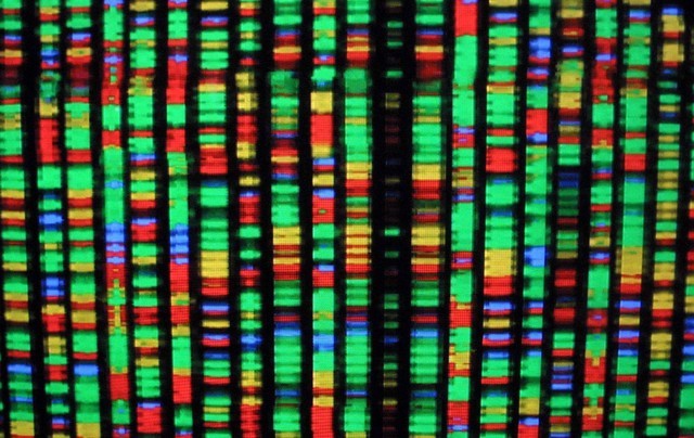 Human genome is fully sequenced