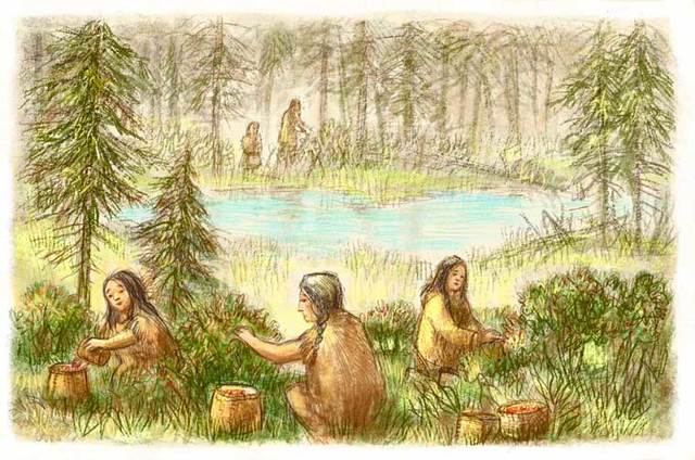 First Occupants Lifestyle