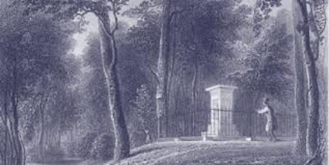 Nature - Creation of Parks