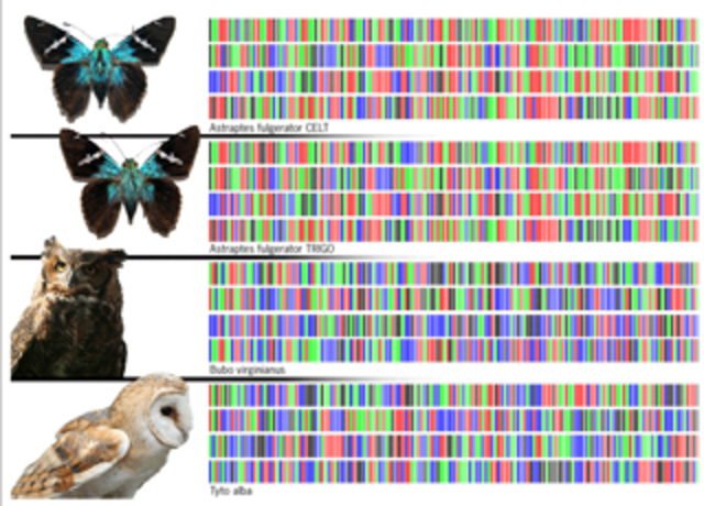 Species, Monsters and Things in Between