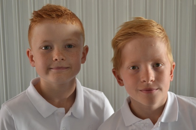 Emil och Alvin föddes