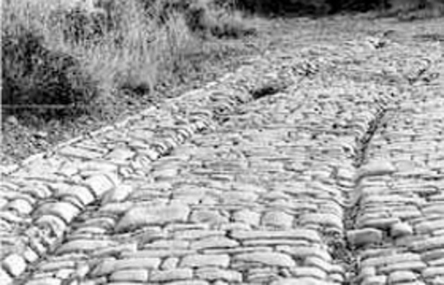 Calzada romana Vía de la Plata.