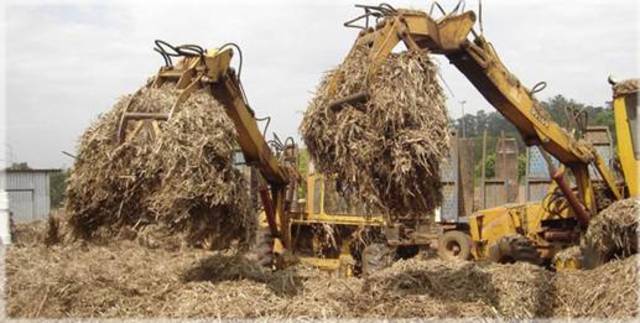 Other countries started the use of sugarcane for producing ethanol