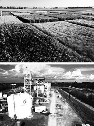 The (first) golden age of ethanol