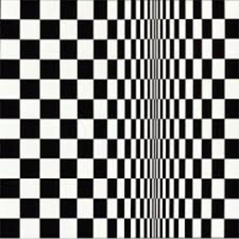 Bridget Riley
