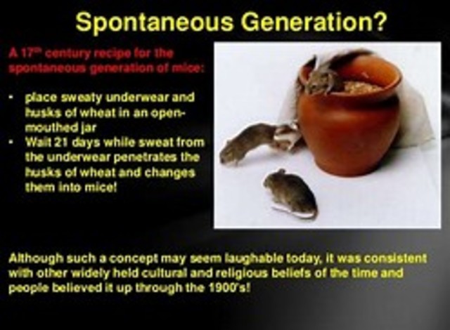 Refuting Spontaneous generation