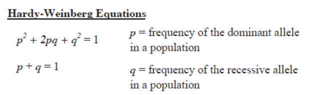 Hardy and Weinberg independently developed the Hardy-Weinberg equation fo.....