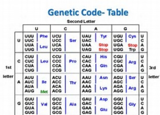 Cracking genetic code