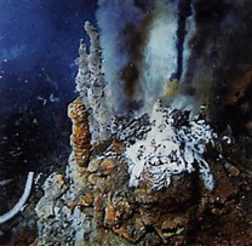 Deep sea hydro thermal vents