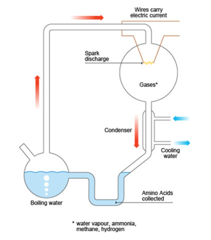 Miller-Urey Experiments
