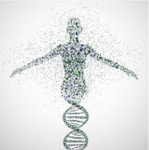 Human genome is fully sequenced