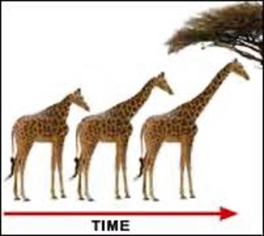 Lamarck develops Hypothesis of evolution by means of acquired characteristics