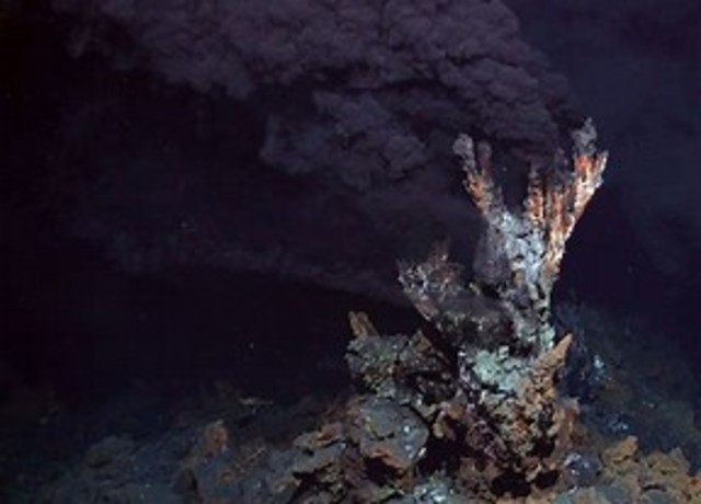 Deep sea hydrothermal vents and associated life around them are discovered
