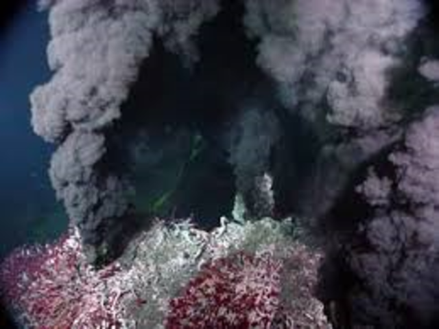 Deep sea hydrothermal vents and associated life around them are discovered