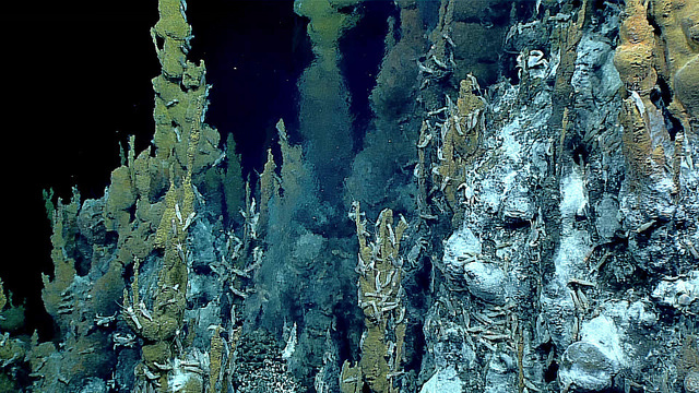 Deep sea hydrothermal vents and associated life around them are discovered