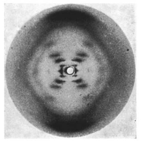 Rosalind Franklin and Image 51