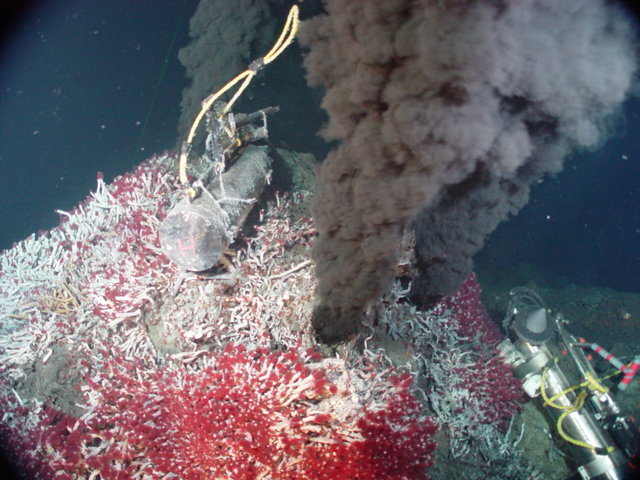 29.	Deep sea hydrothermal vents and associated life around them are discovered