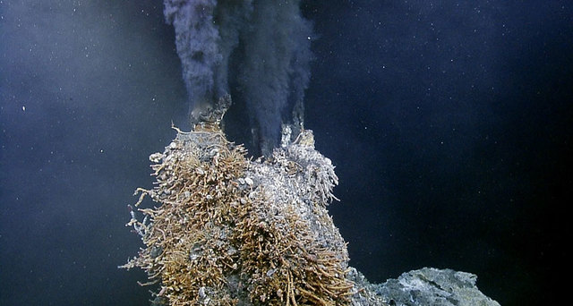 Deep Sea hydrothermal vents and associated life around them are discovered