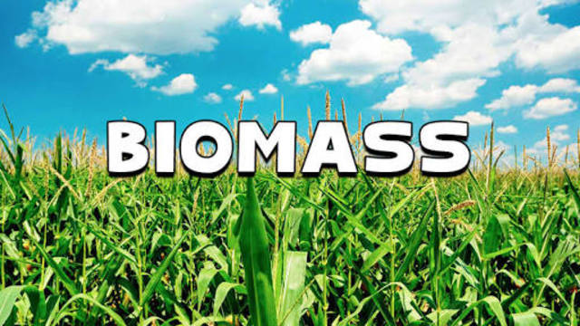 Biomass got it's name