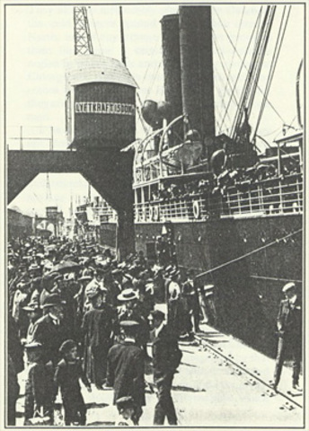 Scandinavian Immigration