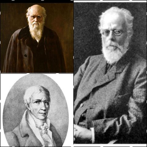 Charles Darwin , Jean-Baptiste de Lamarck y August Weisman .
