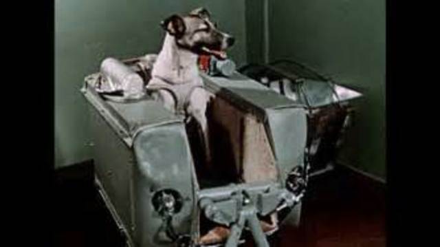 USSR Launches Sputnik 2