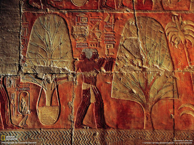 First recorded transplant of foreign fauna