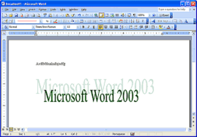 word 2003