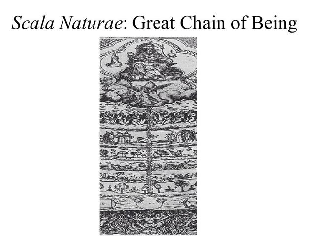 Aristotle describes life with the Scala Naturae