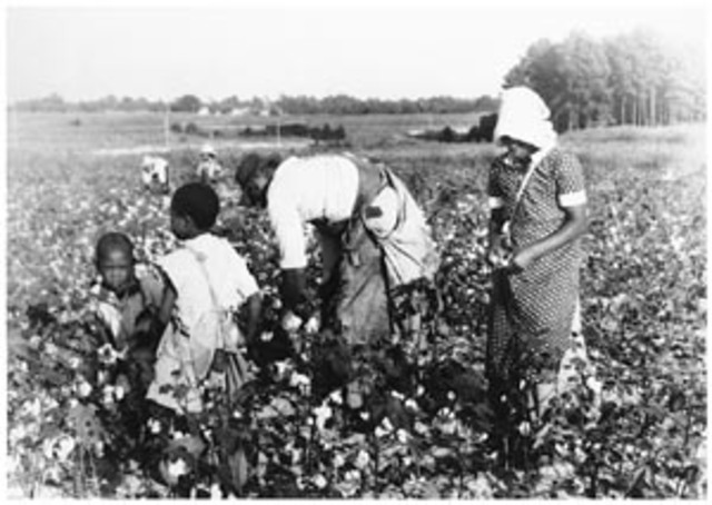 Sharecroppers