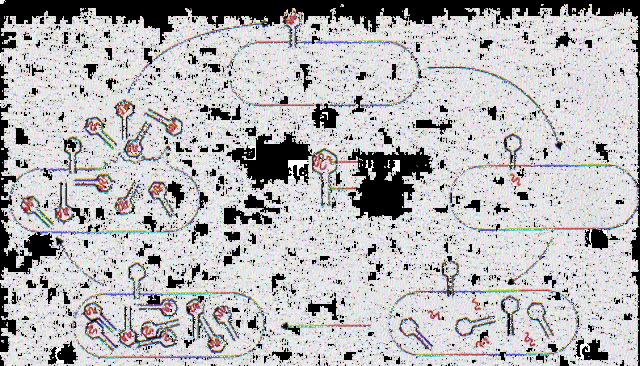 Hershey-Chase experiments are published