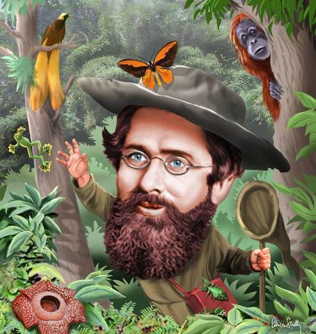 Alfred Russel Wallace published ideas of evolutionary processes