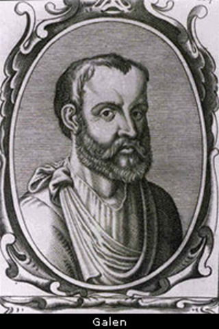 Galen and the Human Body