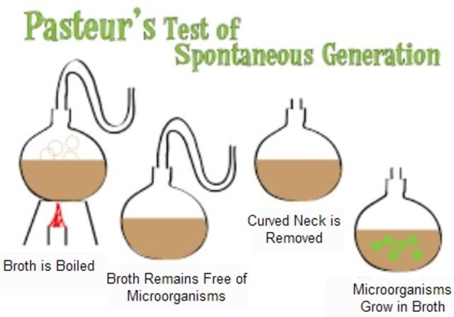 Louis Pasteur refutes spontaneous generation