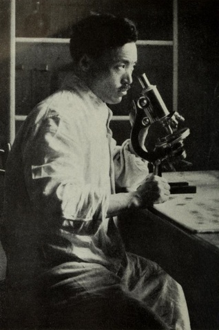 Descobriment de la clamidia