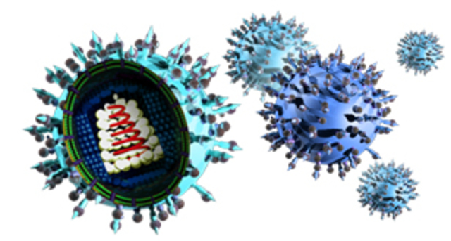 Descripció primer retrovirus