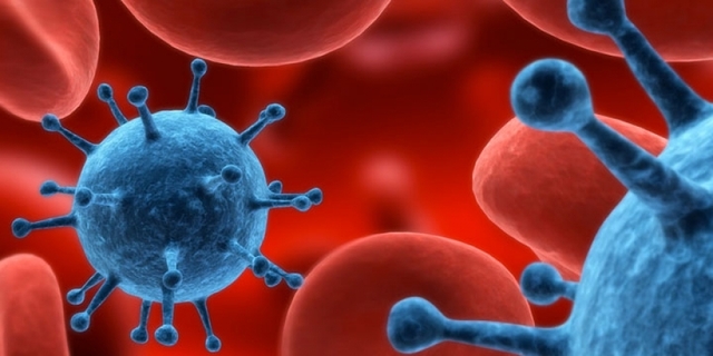 S'aïlla el retrovirus del ViH