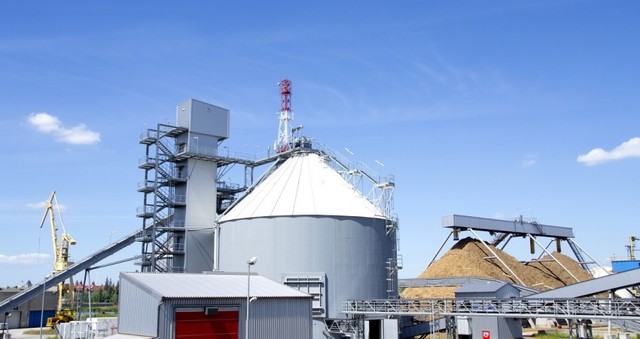 Germany creates world first biomass industry